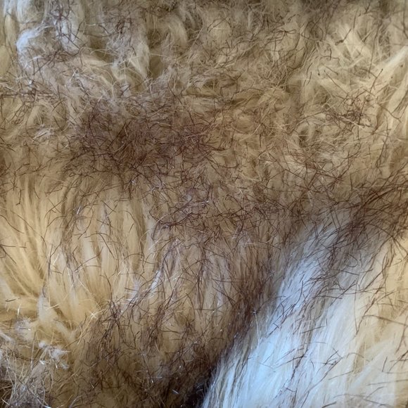 Banana Republic Womens Down Jacket Water Resistant Hood Shearling, Navy, Small - Picture 5 of 11